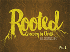 sermon-title-rooted-in-christ-pt-1-140-x-105